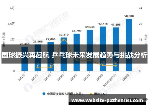 国球振兴再起航 乒乓球未来发展趋势与挑战分析