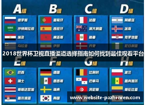 2018世界杯卫视直播渠道选择指南如何找到最佳观看平台