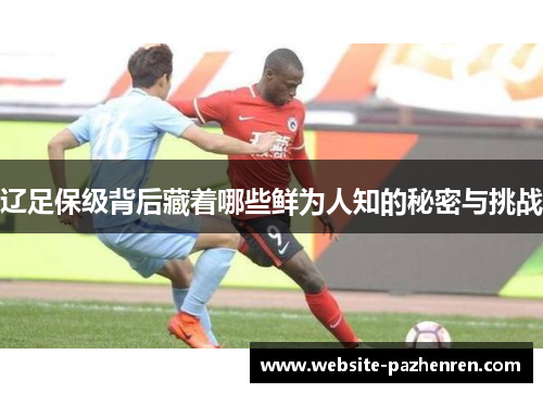 辽足保级背后藏着哪些鲜为人知的秘密与挑战 辽足保级背后藏着哪些鲜为人知的秘密与挑战