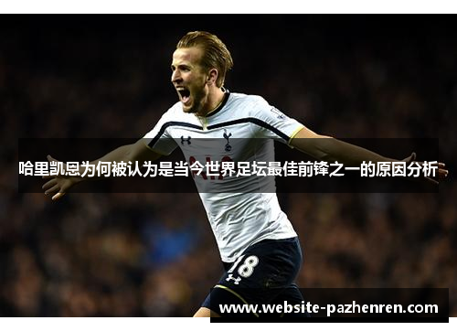 哈里凯恩为何被认为是当今世界足坛最佳前锋之一的原因分析 哈里凯恩为何被认为是当今世界足坛最佳前锋之一的原因分析