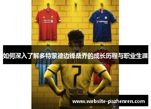 如何深入了解多特蒙德边锋桑乔的成长历程与职业生涯 如何深入了解多特蒙德边锋桑乔的成长历程与职业生涯